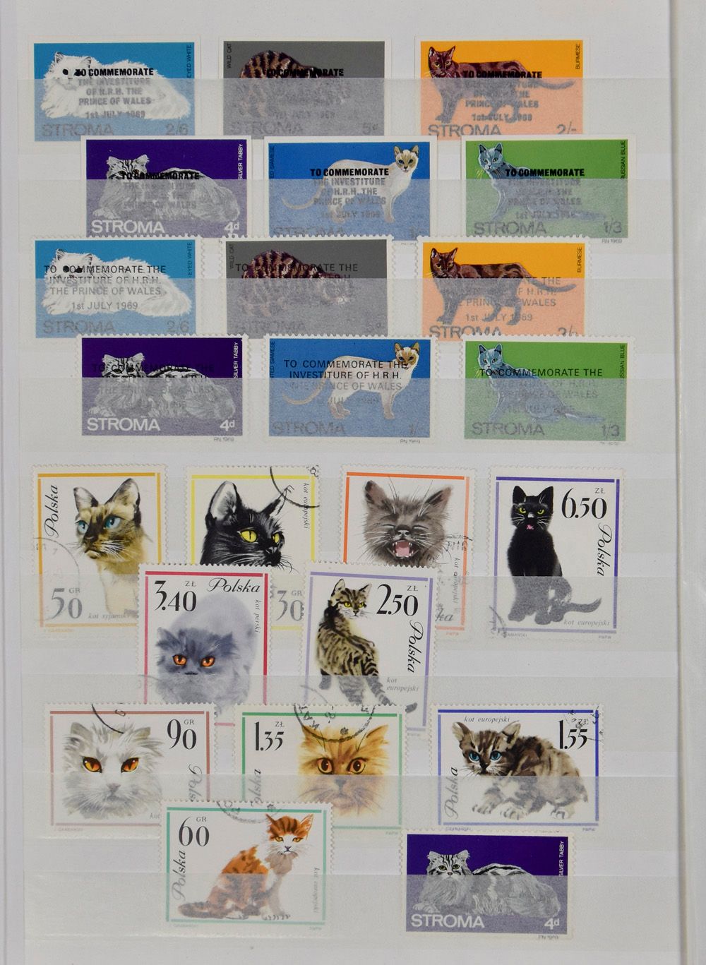 Katten verzameling in 2 insteekboeken, honderden zegels, zm 