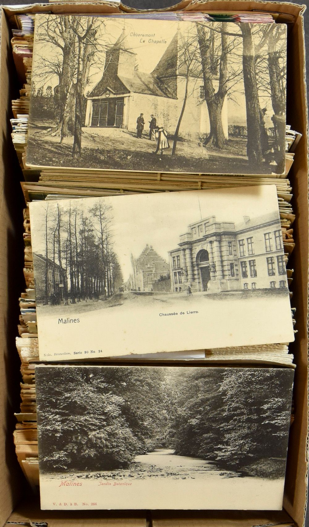 Diverse plaatsen en zichten (+/- 600 stuks)
