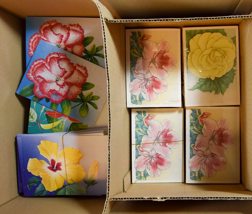 Grote voorraad maximumkaarten (zonder zegel) w.o. bloemen van Buzin, zm/m/ntz.