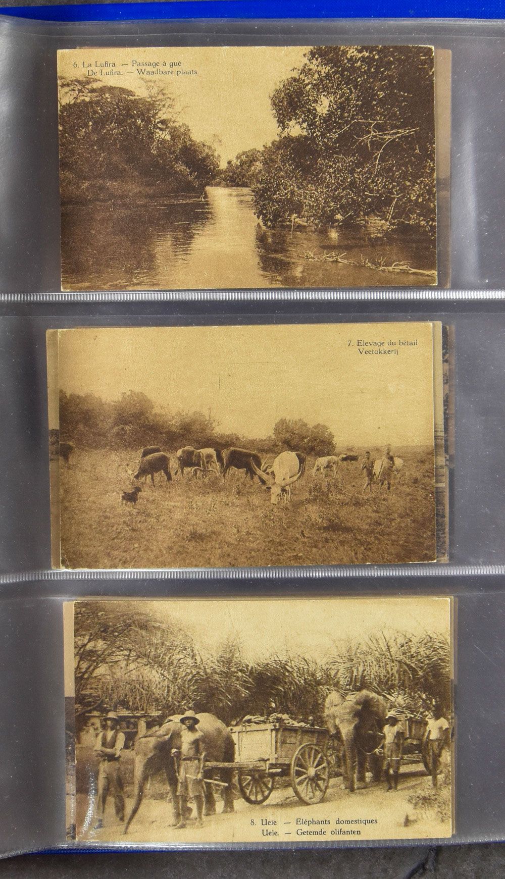 Postal Stationary Stibbe #67, accumulation of 46 items all mint, mostly different views, in blue ring album