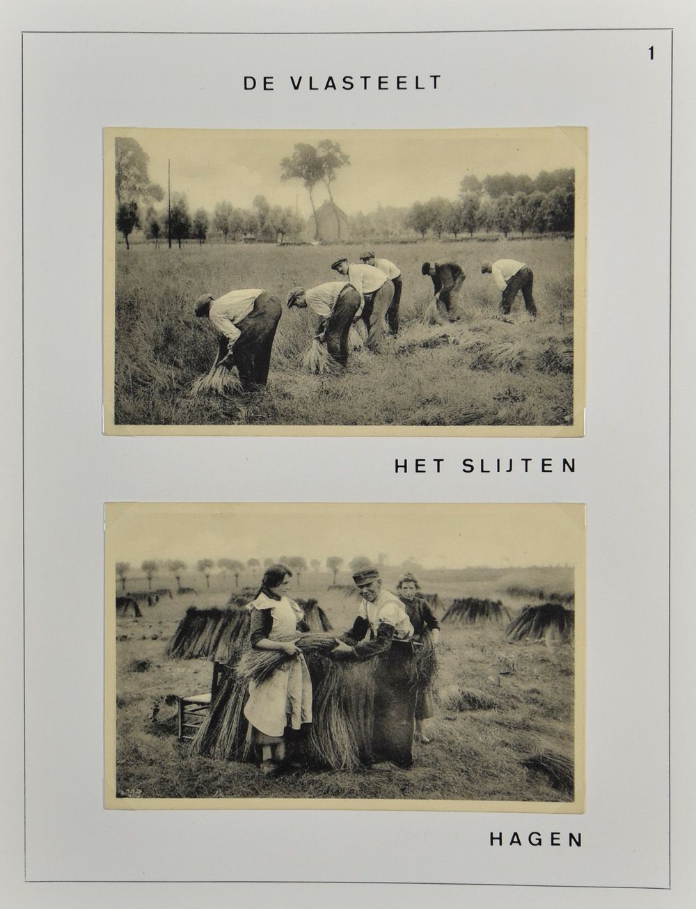 Landbouw, mooie opgezette kleine verzameling vlasteelt (46 stuks)
