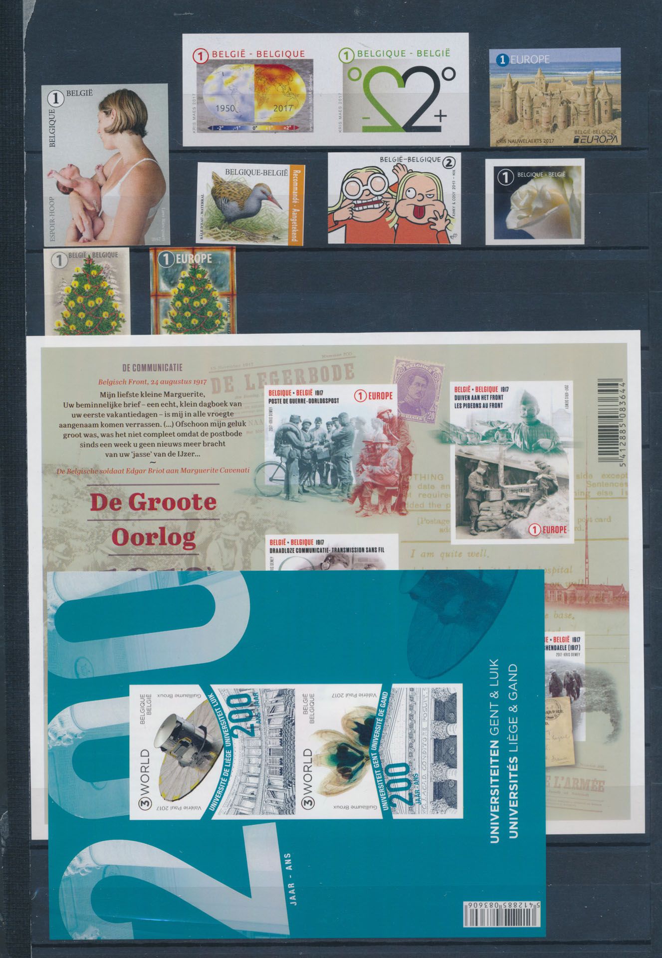 2017 volledig, met 13 blokken, zm (OBP €1.960) 