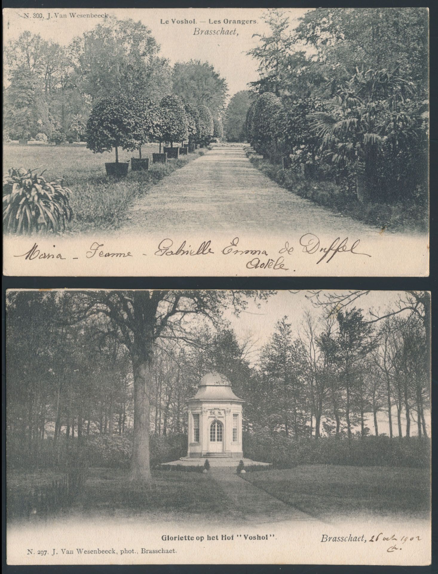 Brasschaat, uitgifte Van Wesenbeeck (14 stuks)