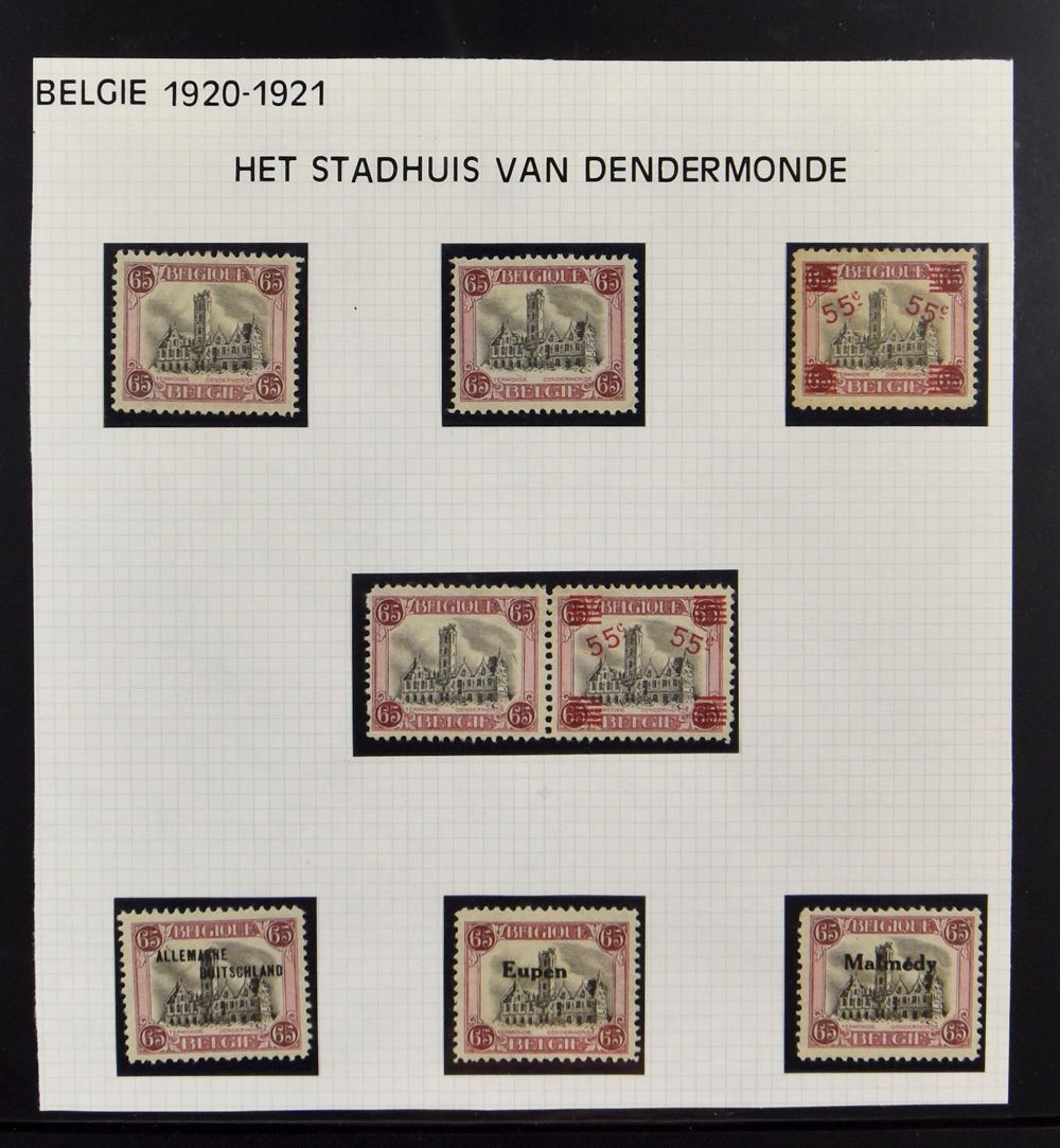 Study collection on this issue in ring binder, involving colour shading, various impressions, margin inscriptions, occupation, forged 