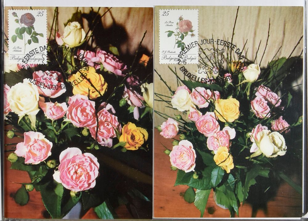 Flora 
