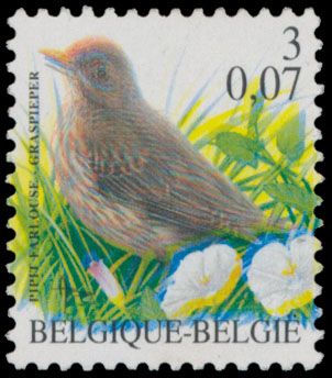 N° 2920-Cu 