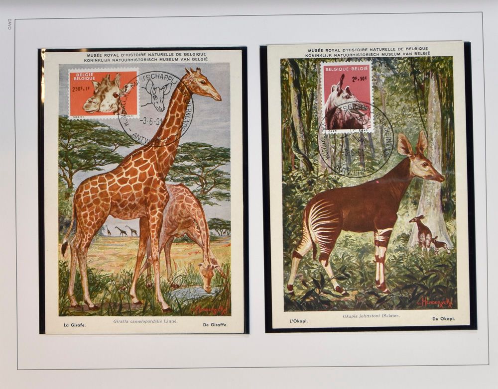 1961/2003 Verzameling w.o. FDC's, FDC's op zijde, MK, etc., in 6 luxe Davo albums, zm
