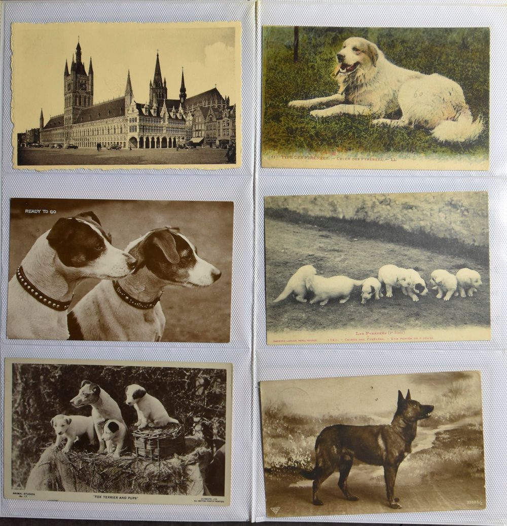Diverse landen, alle periodes, merendeel België, in modern album (+/-280 stuks)