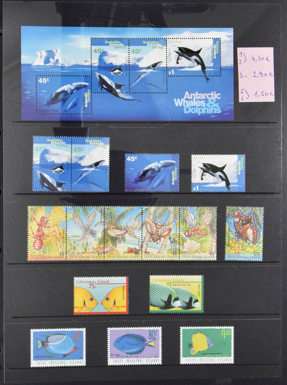 Cocos, Noël, Austr. Antarctique, Norfolk, collection de séries et de blocs, y compris thème sympa, dans un classeur à anneaux, zm.