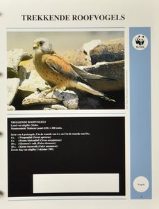 3 WWF albums + 1 general FDC album, vf