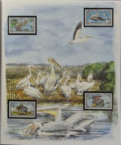 FAUNA- Vogels :  