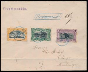 1895, lettre recommandée affranchie à 1,75 Fr au lieu de 1 Fr, COB N° 21, 24 et 26A, envoyée de Boma à Cetinje (Monténégro) le 19/04/1895, avec certificat Luc Vander Marcken, tb
