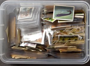 Various brands, including Nestlé, Tobler, etc. (several hundred items)
