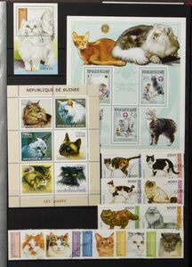 FAUNA- Katten: 2 albums van Afghanistan tot Zwitserland met 794 zegels, 106 velletjes en 27 brieven/kaarten + gespecialiseerde catalogus Domfil 2003, zm