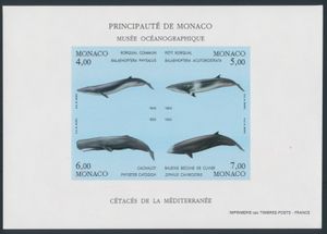 FAUNA: Monaco, BF 64 