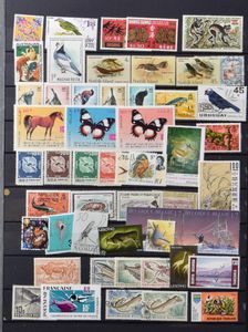 Divers dans des albums, dont des animaux, néerlandais, boîte avec divers, dont Belgique **, Canada **, ainsi qu'une collection Canada * dans des albums, annuaires Canada, 7 livres, tb/b/à voir.