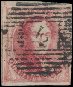N° 5 