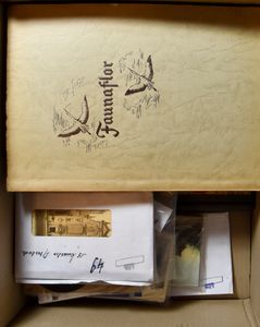 Various brands, in 4 albums + some postcards, etc.