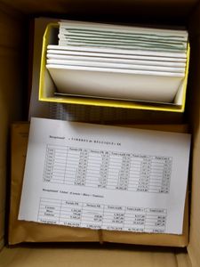 1960/1999 Kleine stock in 4 insteekboeken + boekjes en BK, detaillijst bij lot, zm (Frankeerwaarde: +€280)