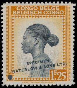 Type N° 258 