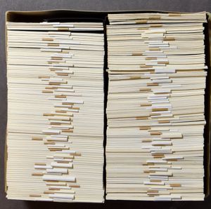 2 lege Liebig albums en losse Liebig prentjes en andere documentatie + Sanguinetti cataloog (1995) (Totaal: +300 reeksen)
