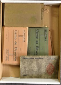 Diverse plaatsen en zichten, w.o. enkele plezierige van Leopoldsburg (20 ZK-carnets)