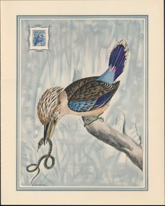 Vogels: Prent groot formaat naar J. Gould (1848) met afdruk zegel Australia 