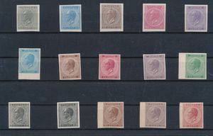N° 17/21 Mooie samenstelling van 15 zegels herdrukken uit 1895 en 1926, interessant lot, zm