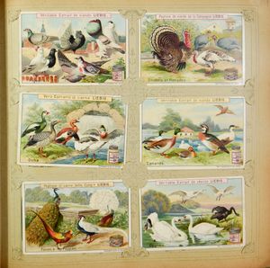 2 Liebig albums (in goede staat), oudere periode (alle potjes) (75 reeksen)