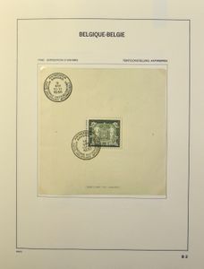 1924/2009 Verzameling blokken in Davo album, w.o. BL 1 PL, BL 2/7, BL 26, BL 31 op FDC, BL 106, Kuifje op FDS, zm/m