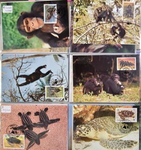 1983/1997 Verzameling 220 sets maximumkaarten in 2 ringalbums, zm