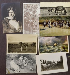 Diverse thema's + Verenigd Koninkrijk (+/-700 stuks)