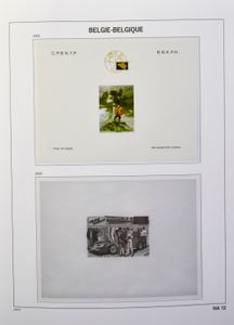 1879/2012 Verzameling diverse uitgiften in 2 Davo albums, w.o. NA, HK, zwart-wit velletjes, nominaal Duostamps, luchtpost, spoorweg, boekjes, zm/m
