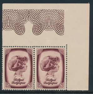 N° 495-V 