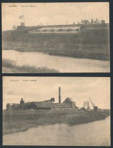 Calloo, zeer mooie zichten, doch slechte kwaliteit (4 stuks)