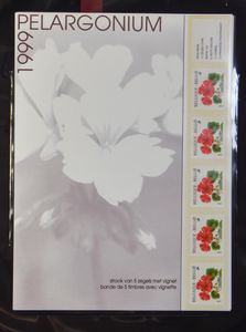 +/-1997/2002 Verzameling Boekjes - Thema Bloemen, in album, 1997 (Rhododendron 3x), 1999 (Pelargonium 5x), 2000 (Tulipia 4x), 2000 (Pelargonium), 2000 (Viola 3x), 2001 (Narcissus 3x), 2001 (Tulipa 3x), 2002 (Crocus 4x), verschillende zegels - Tweezijdig - Driezijdig -Boekjes, enz., zm