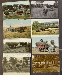 Oost-Vlaanderen, landbouw, diverse scènes (75 stuks)