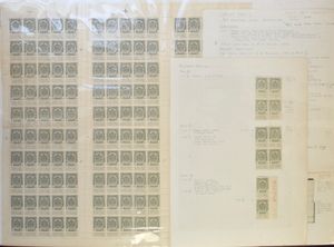 N° 81A 
