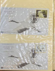 Accumulation of various countries in 7 books, including Liechtenstein, CEPT, Vatican, Germany, UNO (FDCs), vf/f