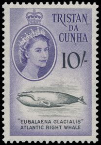 N° 29/41 