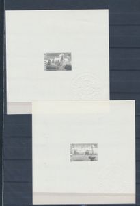 N° 2377/81 
