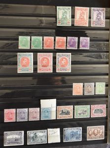 1894/1946 Verzameling in insteekboek, w.o. Merode **, Albert I **, Grote Montenez **, enz., zm/m