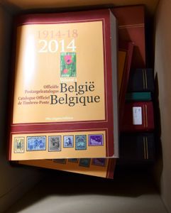 Restant kleine stock (1867/1914), in 2 albums en in doosje + 8 lege albumpjes + loupe en OBP.