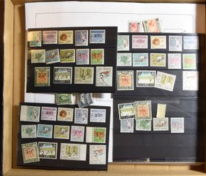 Collection sur feuilles d'album et cartes d'insertion, n/b.