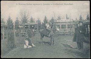 Wuustwezel, cartes avec 'Sterke Peer' Pierre Janssen, de groote nieuwe buiten, 1 à Merksem (New Buiten),(5 pièces)