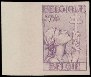 N° 377/83 