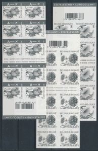 B 80/82 'Bloemen, Ministervellen' zm (OBP € 220)