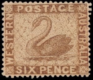 Western Australia, n° 42 