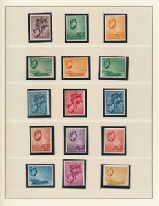 N° 135/49 