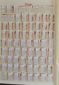 Umfangreiche Sammlung von Stempeln auf älteren Briefmarken mit Dokumentation (4 Bücher), einwandfrei/schön